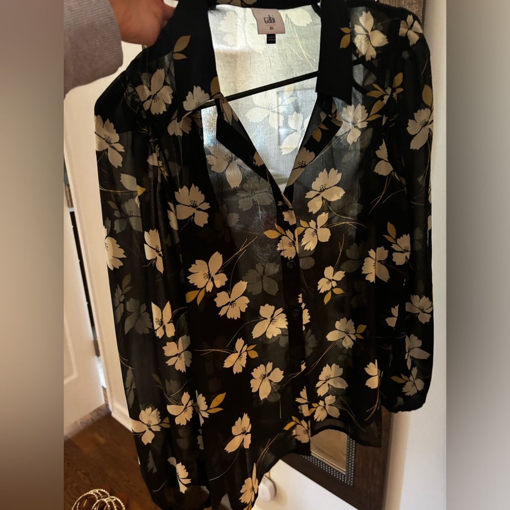 Cabi sheer blouse. Excellent condition.
